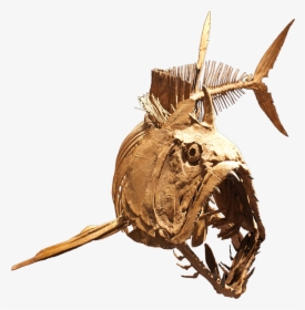 Xiphactinus Audax - Xiphactinus Skeleton, HD Png Download, Transparent PNG