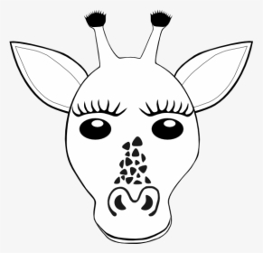 Giraffe Face Coloring Pages, HD Png Download, Transparent PNG