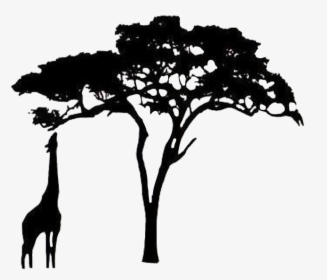 #silhouette #giraffe #safari #trees #trees #freetoedit - African Tree Silhouette Png, Transparent Png, Transparent PNG