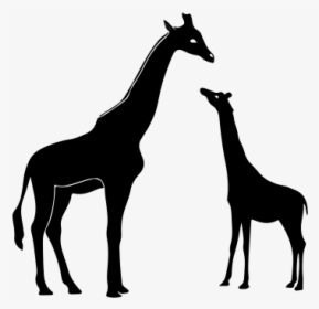 Class Lazyload Lazyload Mirage Cloudzoom Featured Image - Silhouette Giraffe Vector, HD Png Download, Transparent PNG