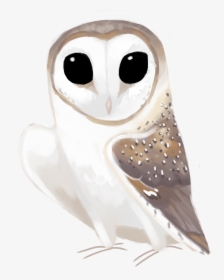Eastern Barn Owl Tyto Delicatula - Barn Owl, HD Png Download, Transparent PNG