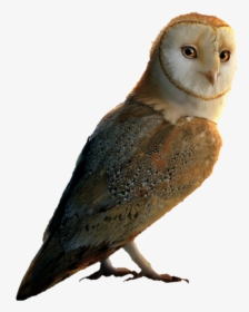 Legend Of The Guardians: The Owls Of Ga'hoole, HD Png Download, Transparent PNG