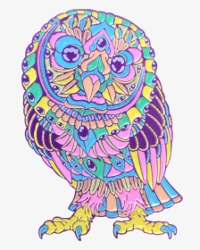 Candy Barn Owl - Owl, HD Png Download, Transparent PNG