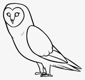 Barn Owl Lineart Ms Paint By Rawritron-d7h0wie - Line Drawing For Ms Paint, HD Png Download, Transparent PNG