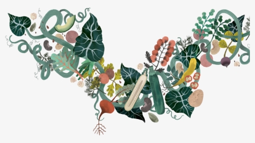 The Fig - Illustration, HD Png Download, Transparent PNG
