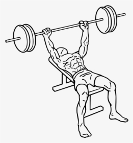 Vector Black And White Drawing At Getdrawings Com- - Transparent Bench Press Png, Png Download, Transparent PNG
