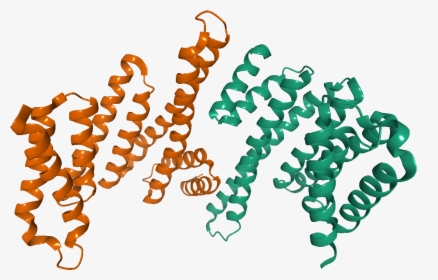 2bq0 14 3 3 - 14 3 3 Protein Structure, HD Png Download, Transparent PNG
