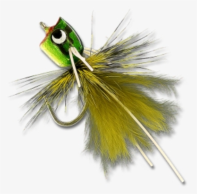 Bass & Bluegill Mini Poppers - Insect, HD Png Download, Transparent PNG