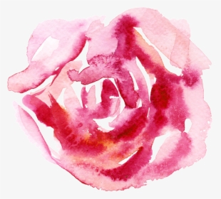 Blood Stamen Cartoon Transparent - Garden Roses, HD Png Download, Transparent PNG