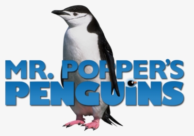 Mr Popper's Penguins Movie Poster, HD Png Download, Transparent PNG