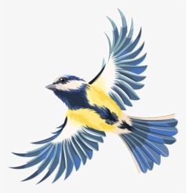 Flying Clipart Wild Bird - Transparent Background Bird Clipart, HD Png Download, Transparent PNG