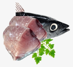 Free Png Fish Meat Png Png Image With Transparent Background - Fish Meat Png, Png Download, Transparent PNG