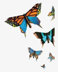 Butterflies - Natural New Butterflies, HD Png Download, Transparent PNG