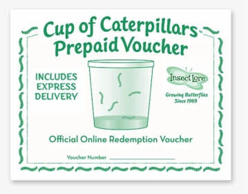 Green And White Voucher For A Cup Of 5 Caterpillars, HD Png Download, Transparent PNG