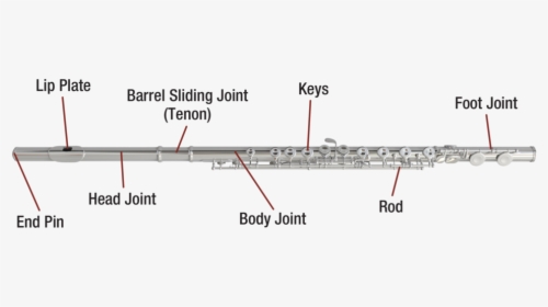 Flute Diagram Image - Diagram Of The Flute, HD Png Download, Transparent PNG