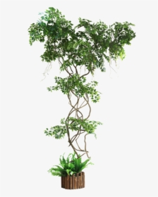 Ginkgo Fake Branch Simulation Leaves Balcony Package - Artificial Ivy Plants Uk, HD Png Download, Transparent PNG