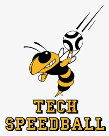 Gt Club Speedball Logos Georgia Tech - Georgia Tech Yellow Jackets, HD Png Download, Transparent PNG