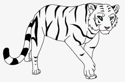 Siberian Tiger, HD Png Download, Transparent PNG