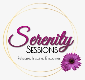 Serenity Sessions Horn Of Salvation Ministries Inc - African Daisy, HD Png Download, Transparent PNG
