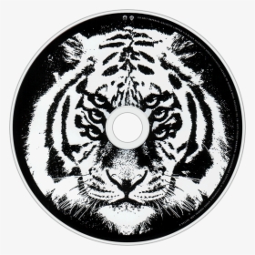 Cdart Artwork - Royal Blood How Did We Get So Dark Cd, HD Png Download, Transparent PNG