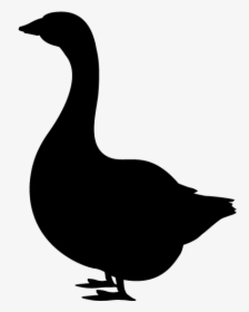 Domestic Duck Silhouette Goose Clip Art - あひる シルエット イラスト, HD Png Download, Transparent PNG