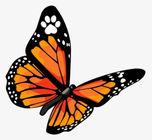 Vts Buttefly Transparent Bg Cropped - Monarch Vet Tech Services, HD Png Download, Transparent PNG