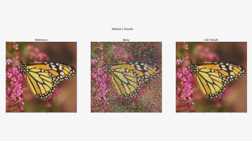 - - / - - / Images/implsden Clr 19 0 - Monarch Butterfly, HD Png Download, Transparent PNG
