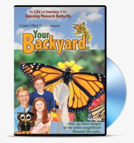 Transparent Monarch Butterflies Png - Butterfly Dvd, Png Download, Transparent PNG
