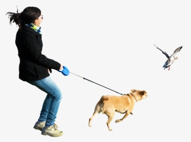 People Walking Dogs Transparent Background, HD Png Download, Transparent PNG