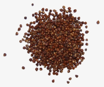 Mustard Seed, HD Png Download, Transparent PNG