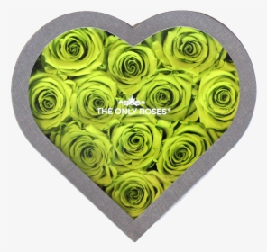 Heart, HD Png Download, Transparent PNG