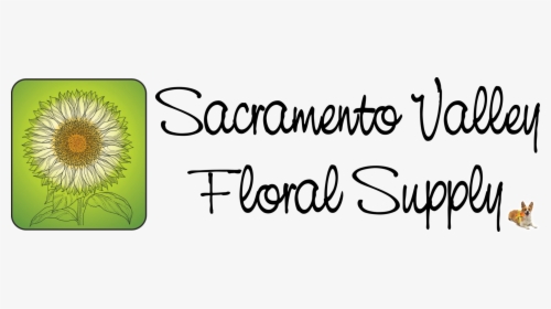 Sacramento Valley Floral Supply - Calligraphy, HD Png Download, Transparent PNG