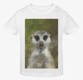 Funny Meerkat 001 Sunny Youth T-shirt - Meerkat, HD Png Download, Transparent PNG