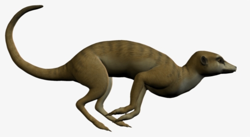 Meerkat Clipart - Clip Art, HD Png Download, Transparent PNG