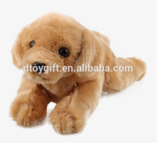 Img 0043 - Stuffed Toy, HD Png Download, Transparent PNG