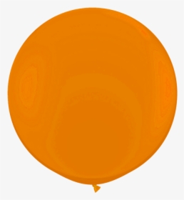 Circle, HD Png Download, Transparent PNG