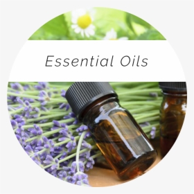 Nadia - Sidebar - Oils - Huiles Essentielles Conseil Aromatherapie, HD Png Download, Transparent PNG