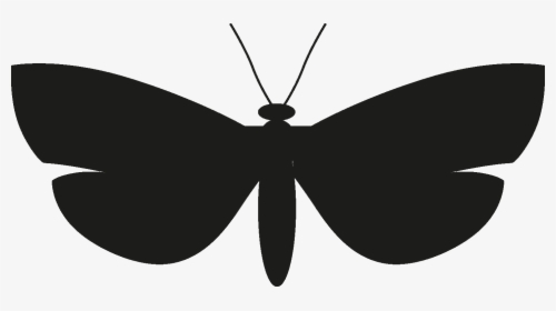 Insects Set [silhouette] Png - Net-winged Insects, Transparent Png, Transparent PNG