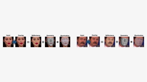 Model Face Png, Transparent Png, Transparent PNG