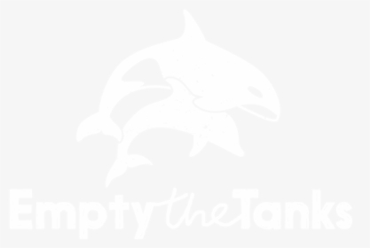 Short-beaked Common Dolphin, HD Png Download, Transparent PNG