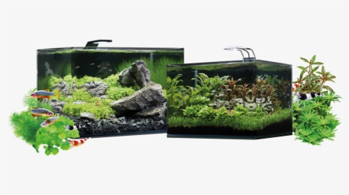 Dennerle Nano Scapers Tank, HD Png Download, Transparent PNG