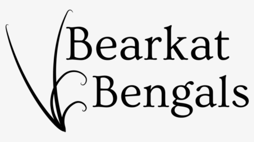 Bengals Png, Transparent Png, Transparent PNG