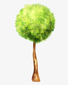Watercolor Tree Clipart Image Black And White Library - Tree, HD Png Download, Transparent PNG