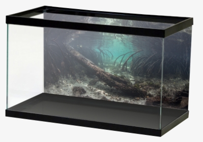 Fresh-salt Mangroveroots2 - Sunset Aquarium Background, HD Png Download, Transparent PNG