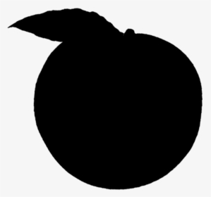 Shadow Image Of Apple, HD Png Download, Transparent PNG