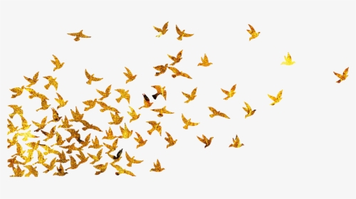 Flock Of Birds Silhouette, HD Png Download, Transparent PNG