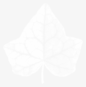 The Ivy Logo - Macro Photography, HD Png Download, Transparent PNG