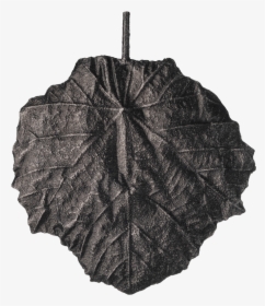 Pr - Umbrella, HD Png Download, Transparent PNG