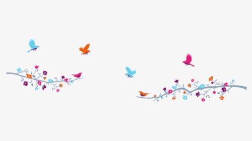 Flores Orla, HD Png Download, Transparent PNG