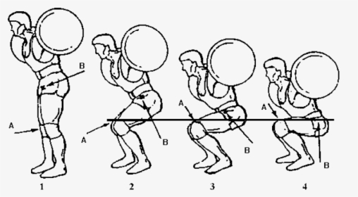 Squat Showing Hip/knee/ankle Relationship From Varying - Squat Depths, HD Png Download, Transparent PNG
